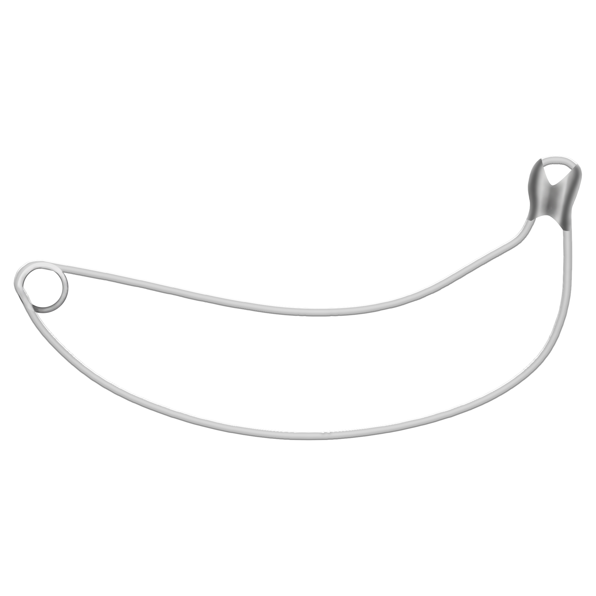 Papeclipnana